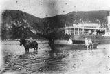 "King", towing Watt's Punt on Boat Day, Whangamata.